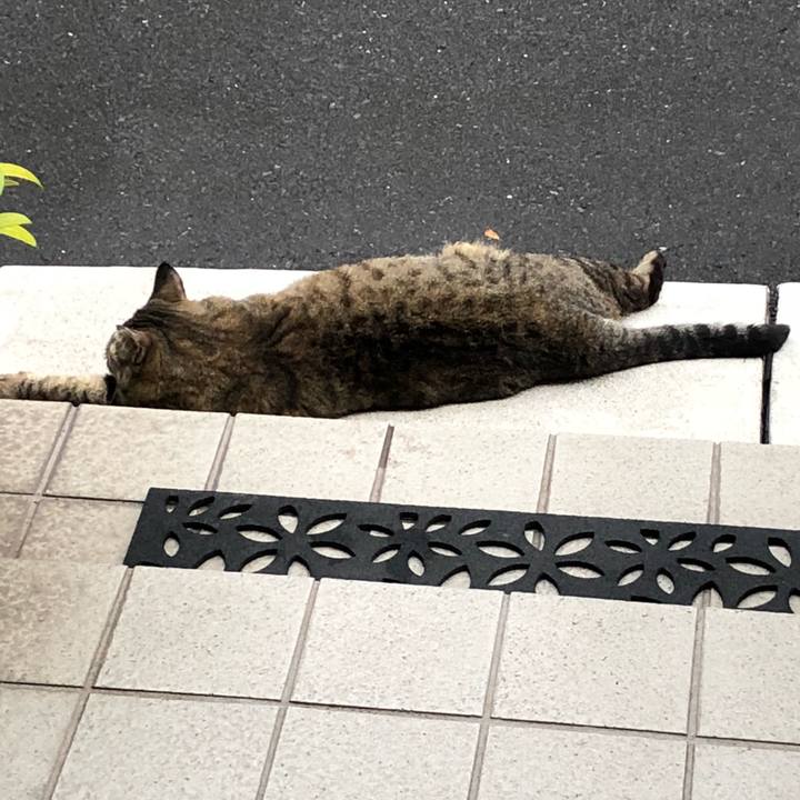 682dabb1 9c45 4e1d 8d0b 64af6b803abf 1528024606475