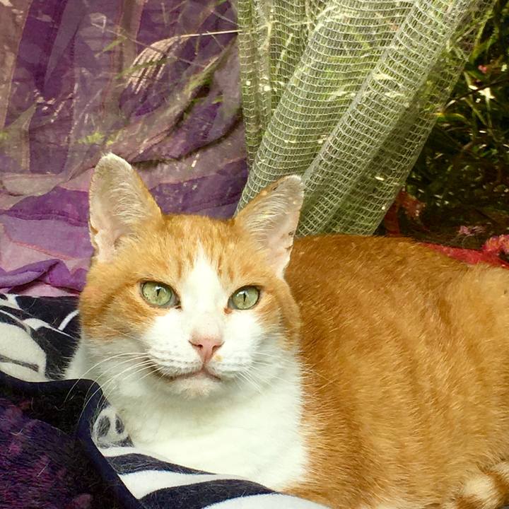 682dc178 e01e 4603 ad38 1e6ac78eb10a 1602456413136