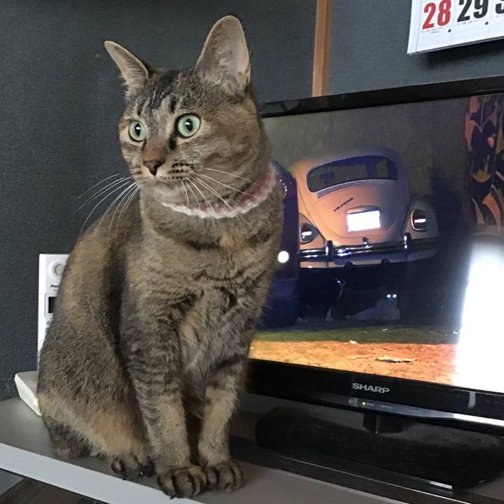 682e07a2 f696 4cfa 90e3 369c8e42b47d 1659777085741