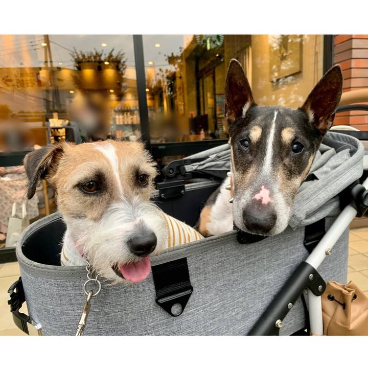 682e339b 76b2 4585 ad2a c7af7dad8fc2 1624366946517