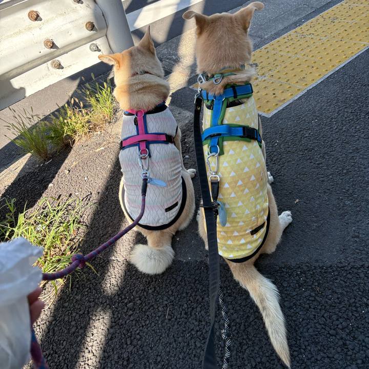 682e807b 0d6f 40b6 a964 34a0f187eefd 1762752511973