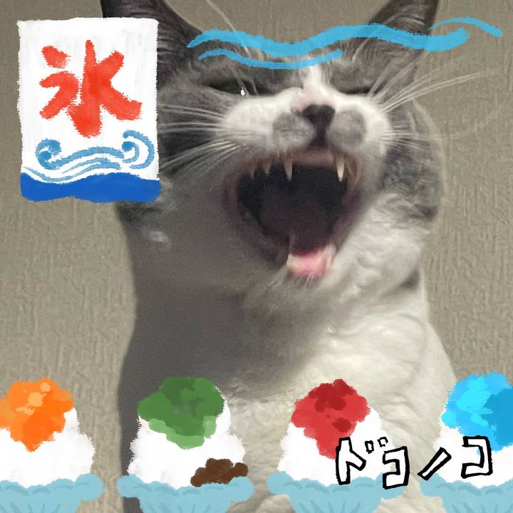 682f2cd1 3b15 49b1 9e99 d803430aff85 1723200985873