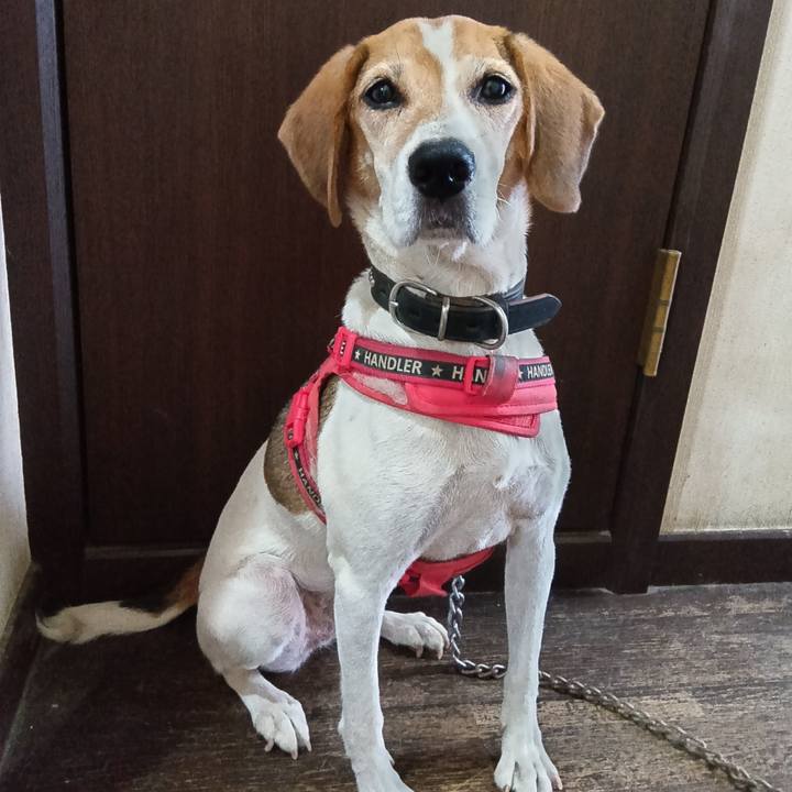 682f2e3d a36d 4266 a961 bc0838313d38 1725352414961