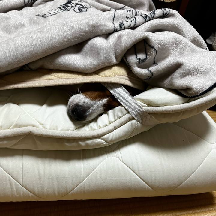 682f331a 2b5d 4b0f b6ef 1e05d7103227 1732884664471