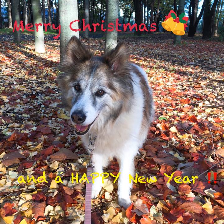 682f5086 ff90 4e31 b644 3fbfc5ef0efc 1577137701859