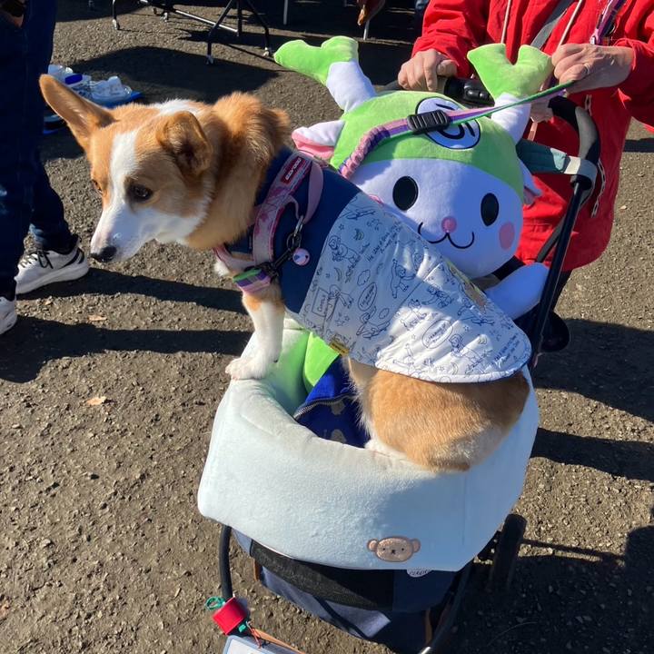 682f652e 87c5 494b bb2d aa847dba9fc0 1766906080390