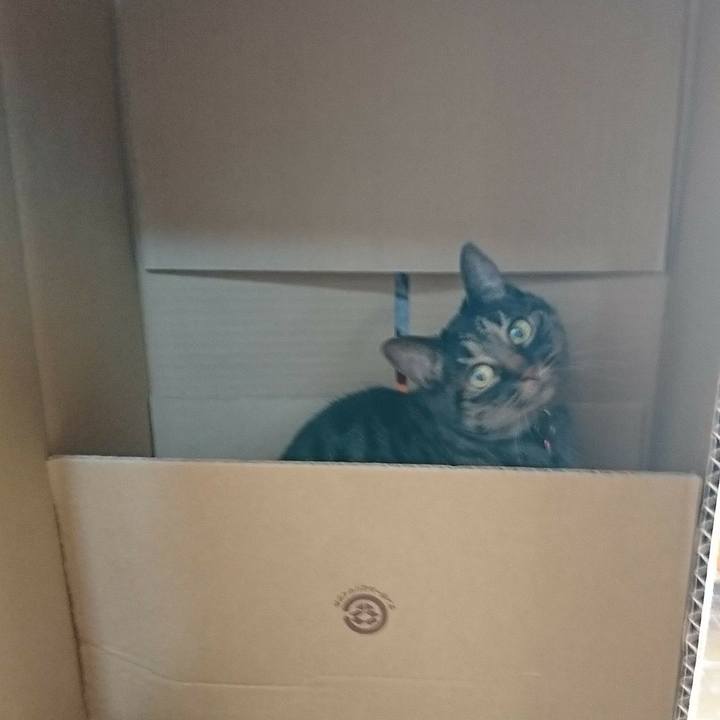 682f8488 bd9e 4230 aade 5000c6245e8f 1514602454340