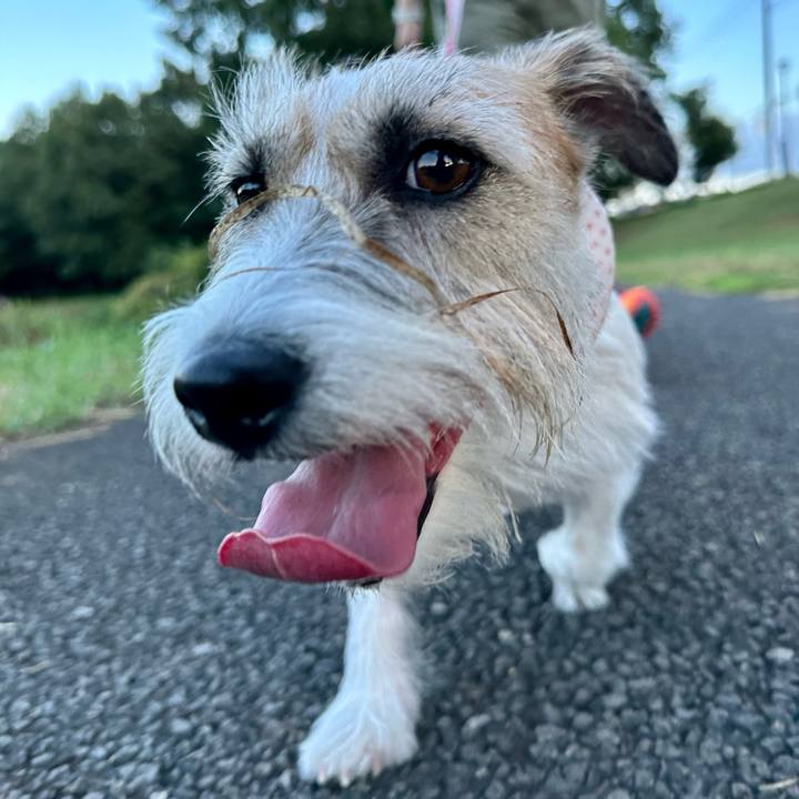 682fbbcd 975b 47f9 aafa 2780dae98a19 1693043934482