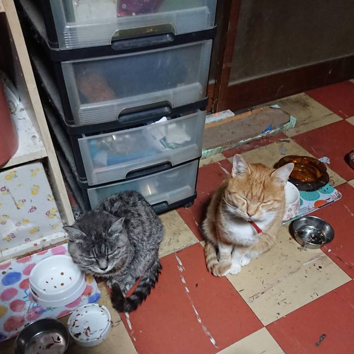 682fda9e 52e4 49d0 a0fa bc7fd74f939a 1604867312061