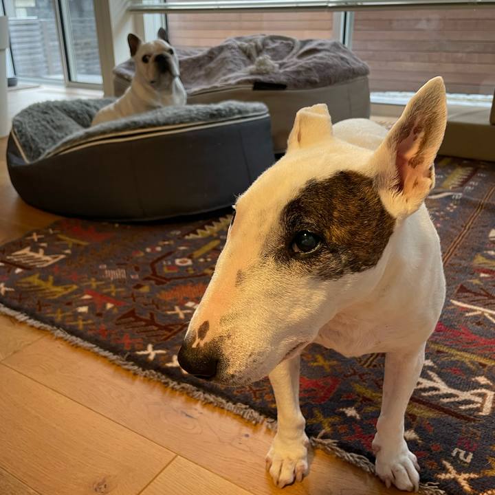 682fe2d6 0207 48cf 8180 cc1fd2fc39ad 1640957431993