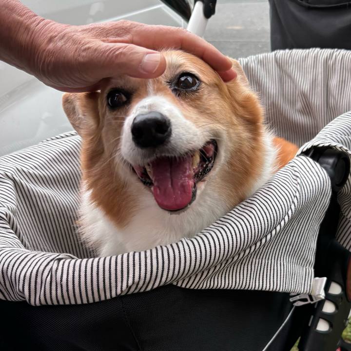 68302b60 3cee 4649 a552 4fd475b30775 1747021295661