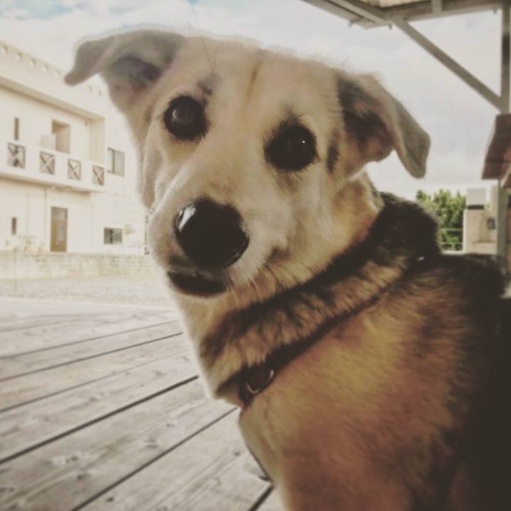 68305a81 61c7 4f90 95f2 5fabb4156323 1542898228122