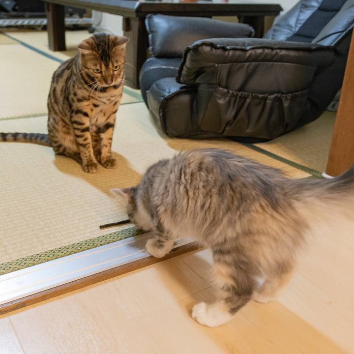 6830b4e0 3837 4974 b2f2 1939bbaa6e86 1537393743770