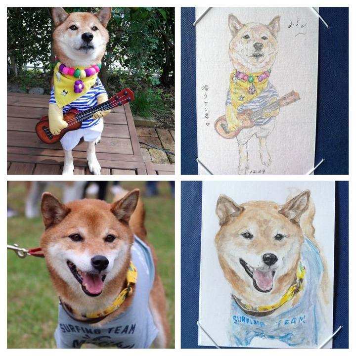 6830c28a 7861 43fa bc55 f718558d1b47 1607468196034