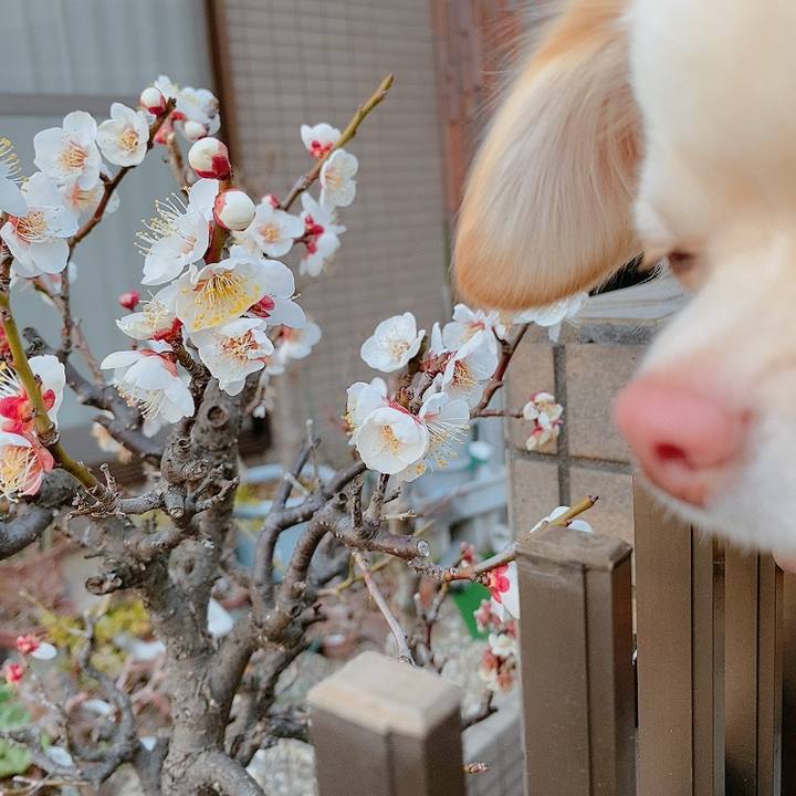 6830e757 5ec9 437b a0eb 4fb8f26db855 1613125115531