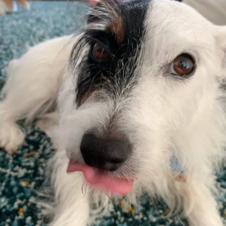 6830ef1f a5ba 4d65 bc97 5bb23f1e5795 1629525341257