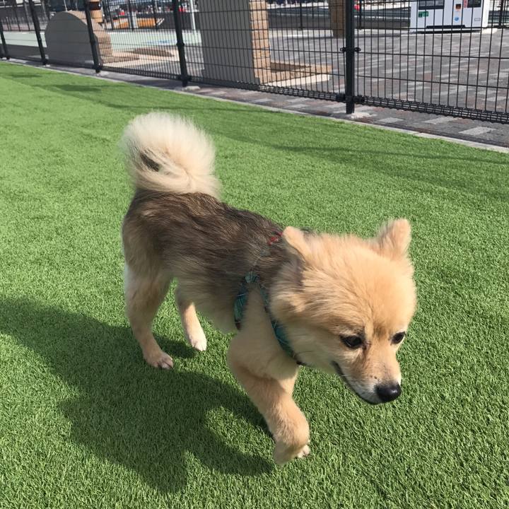 6830fbc2 122c 4de6 ae52 078f8b03b592 1565593103692