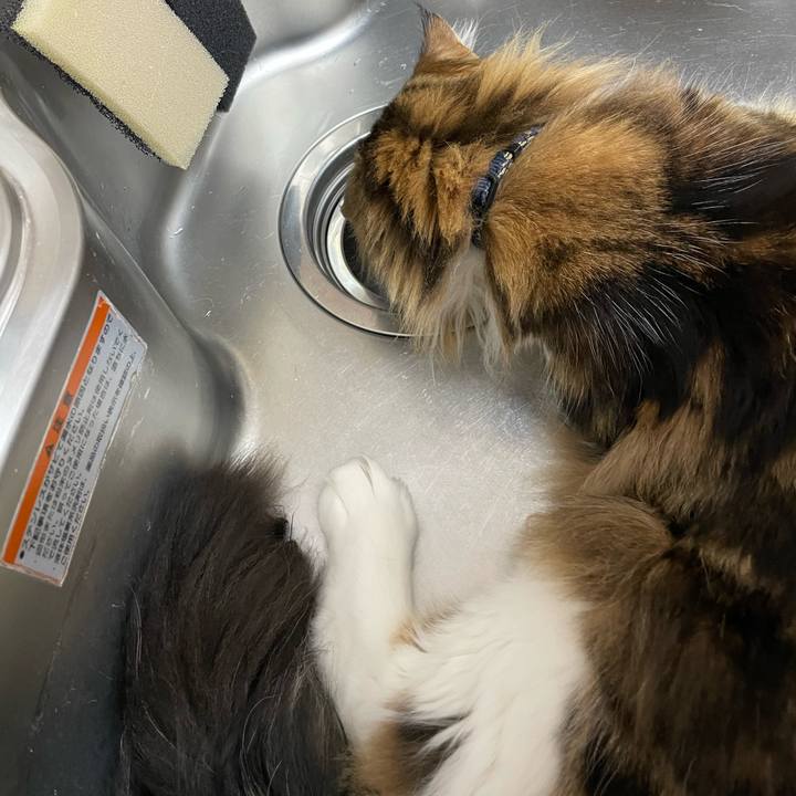 683126dd 17fa 4870 8bb9 736d9a2acf15 1655300043237