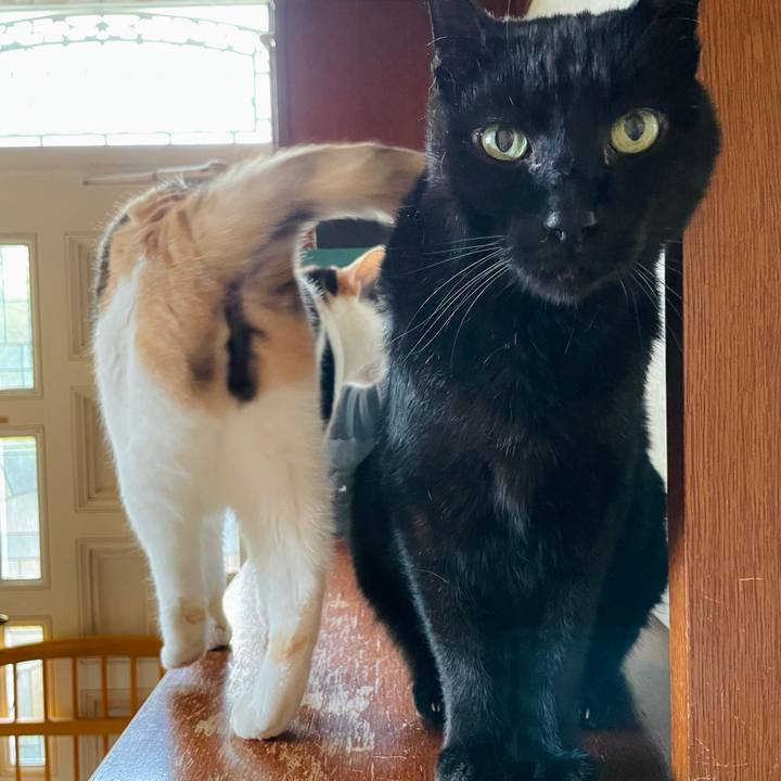 683156f0 f0e4 4fe9 a520 ecee1bfa4ce6 1621218220334