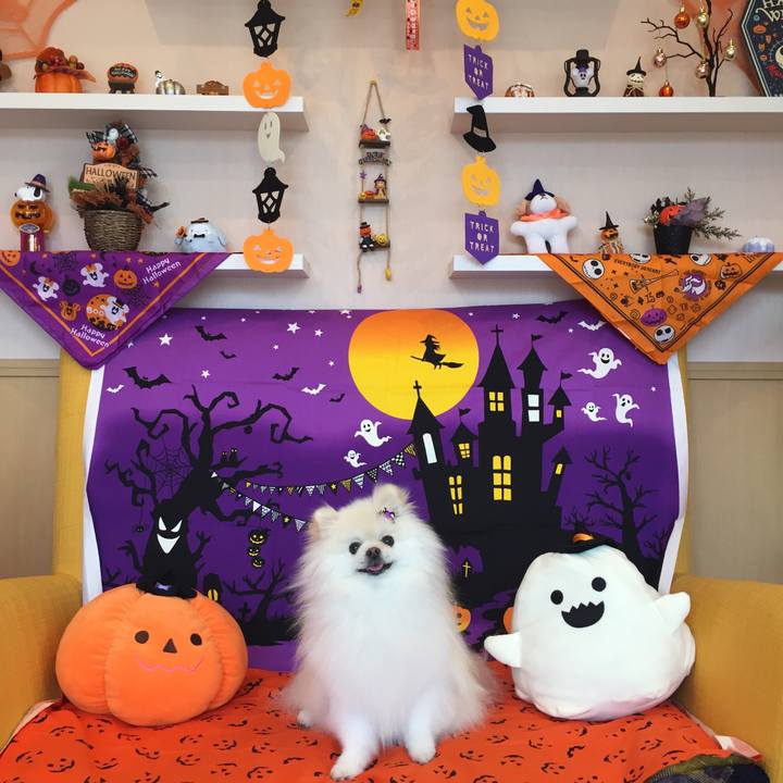 6831c746 1662 47d7 b5aa 8d2081ccebc8 1603343318702