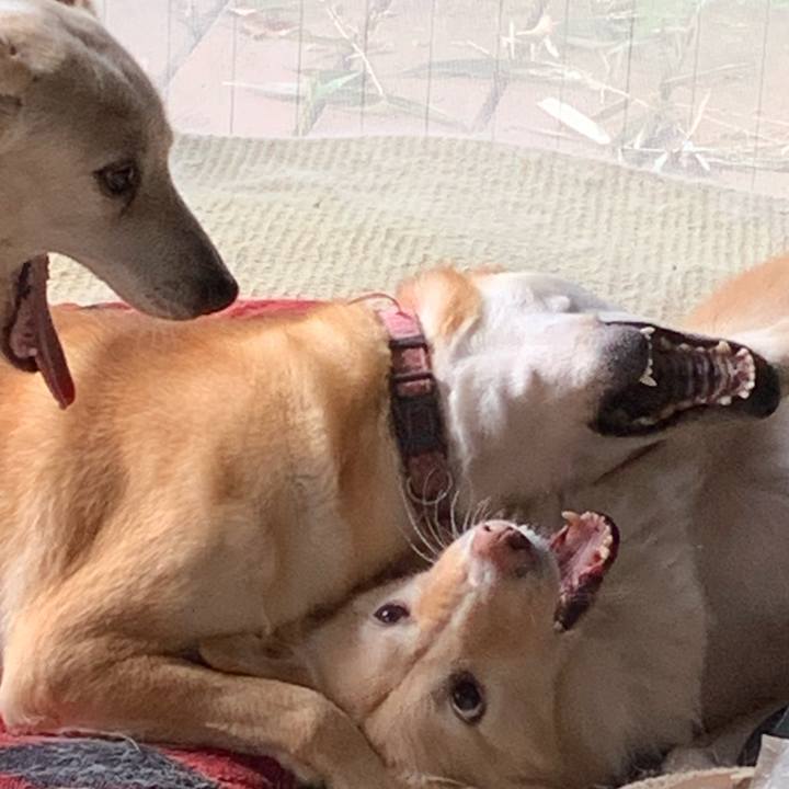 68320fb6 8f4e 4e54 a935 286a88055f66 1607226521160