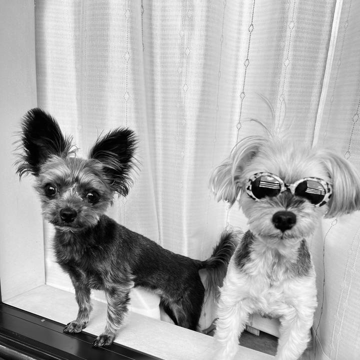 6832202d 77d0 4d4e b0ed 3487b023acc9 1763866101326