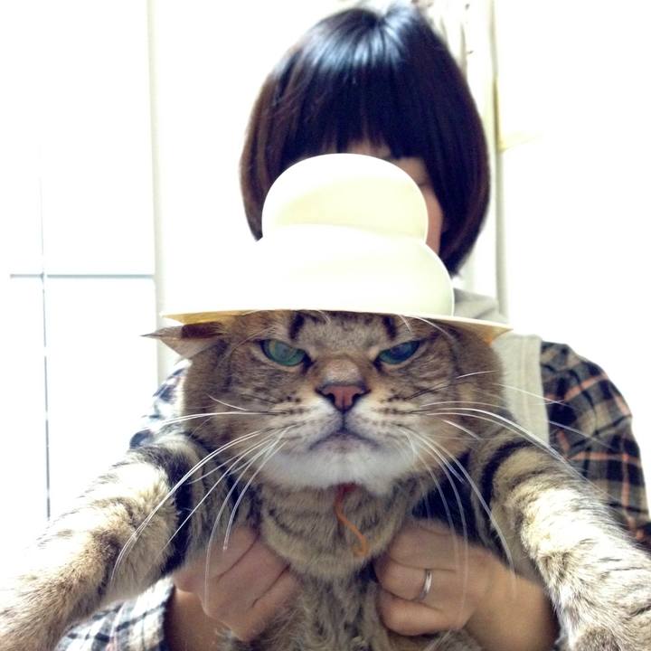 68325a3c f480 4818 bf59 1da20b0a9ed8 1591509749861