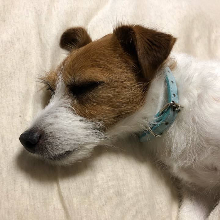 6832635d 6a05 4eb6 bbe3 84ad17a35e7e 1561888651427