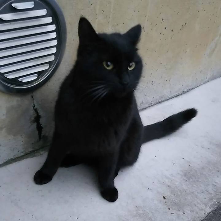 68327340 d8cf 456f b7be e2fdbdb417da 1550529135476