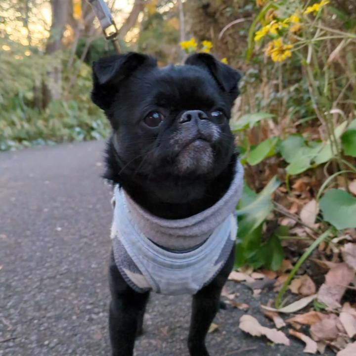 6832e9fd 274c 4f5b 8d19 9d323887d2cc 1767790807033