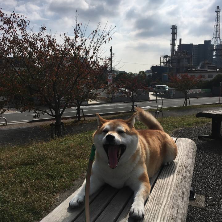 6832f5c3 d9a1 4ef3 a5b4 9b4a26c4cd38 1604809588332