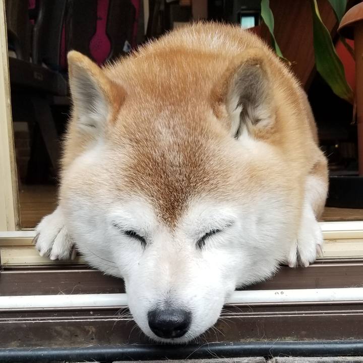 6832f8e9 2800 49bf 888e bc37a4821ae3 1709767689180