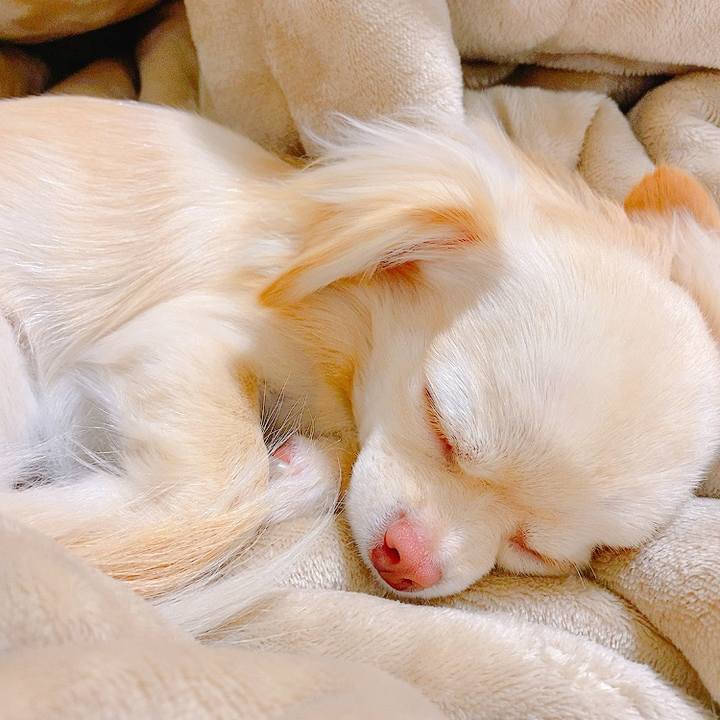 683327e1 7a4a 4cb9 9cf1 65fa0f60e839 1620223003437