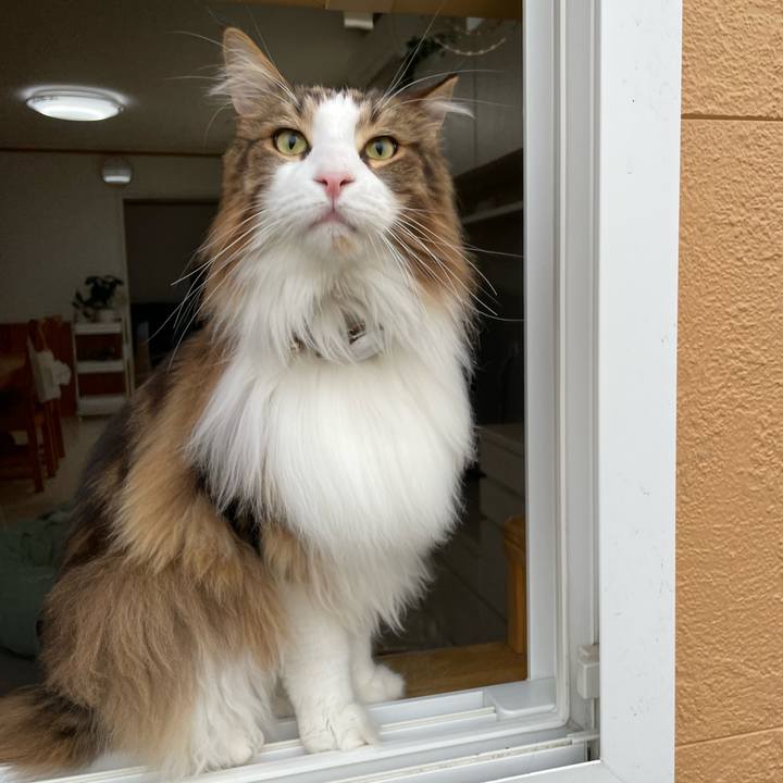 68336051 69c9 41f9 81c7 c5a316aef9a0 1681425088192