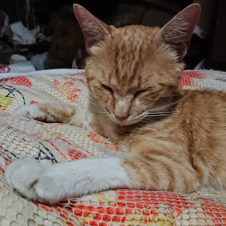 6833695e e564 4940 9ea6 b779171c0a6e 1560515551667