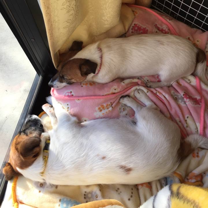 68337da5 0b06 40fb bc96 1af78c6acc2f 1515045930630