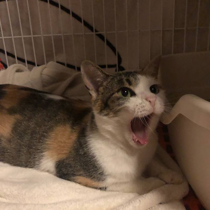 68338741 042b 4efc 80a9 04f748371b49 1572702404478