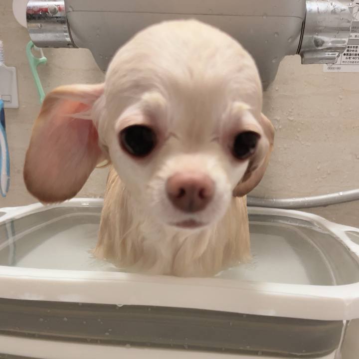 6833d2db dc8d 4839 b226 9e3991cf09ca 1727877953478