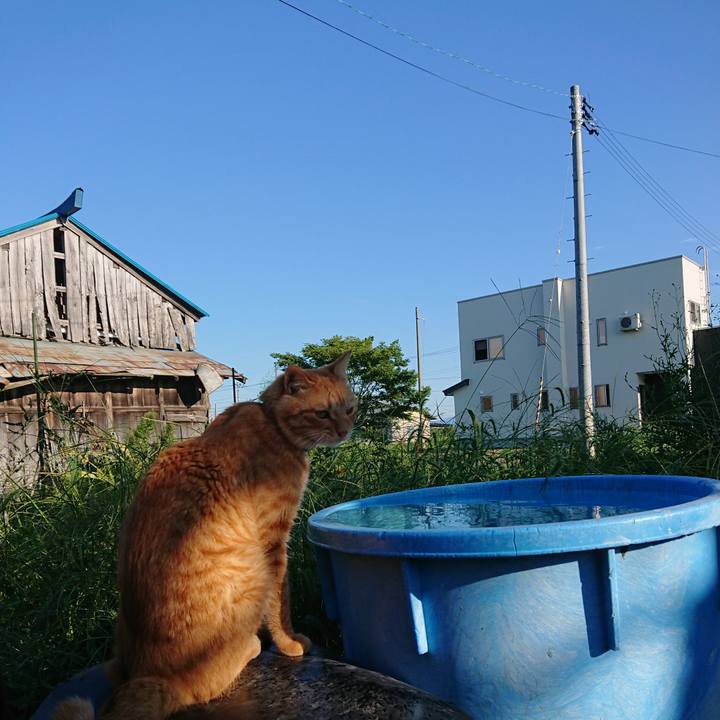 6833d976 0392 41d5 bcb1 4f22a3a8b022 1662794552937