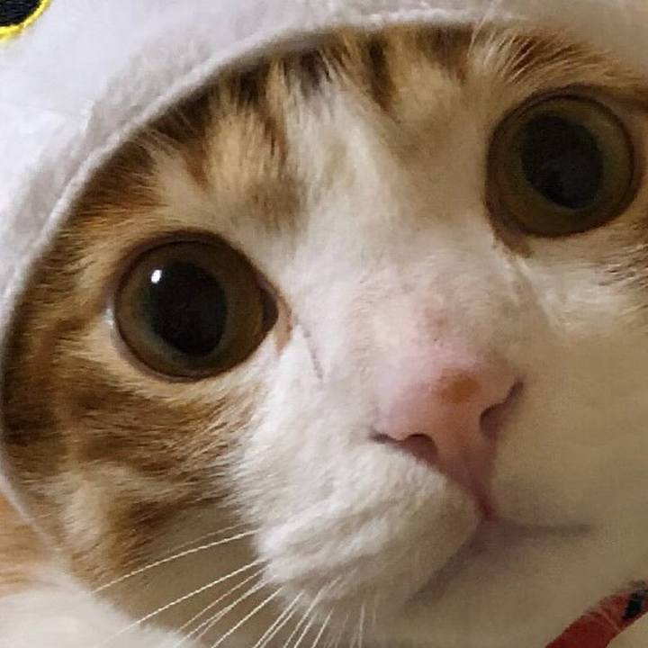 6833dfeb 95a2 48e8 b265 a50c5fd39974 1520419764574