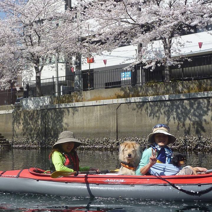 6834221a 5167 45b4 8b41 ea532d6e7379 1554679885904