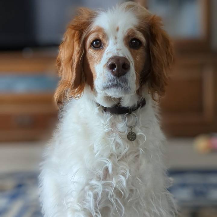 68342ca3 5266 4024 9c2d 0d5e1964ffef 1677584184483