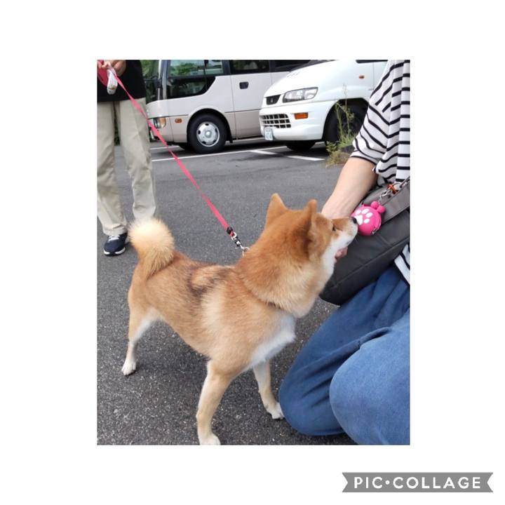 68346612 7347 4f99 a445 6108cdeb2d2d 1663330624879