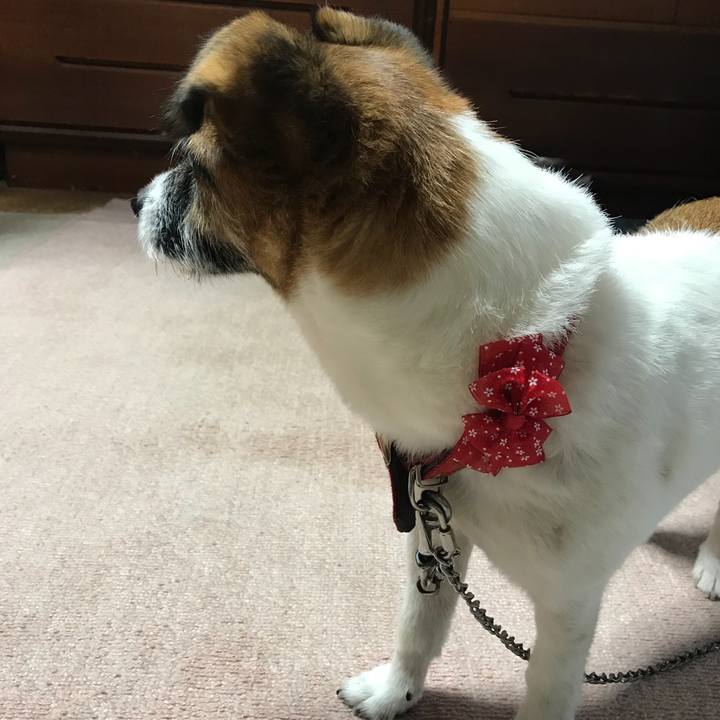 68346e85 6014 4f56 979a fa49e2f138a3 1536658705961