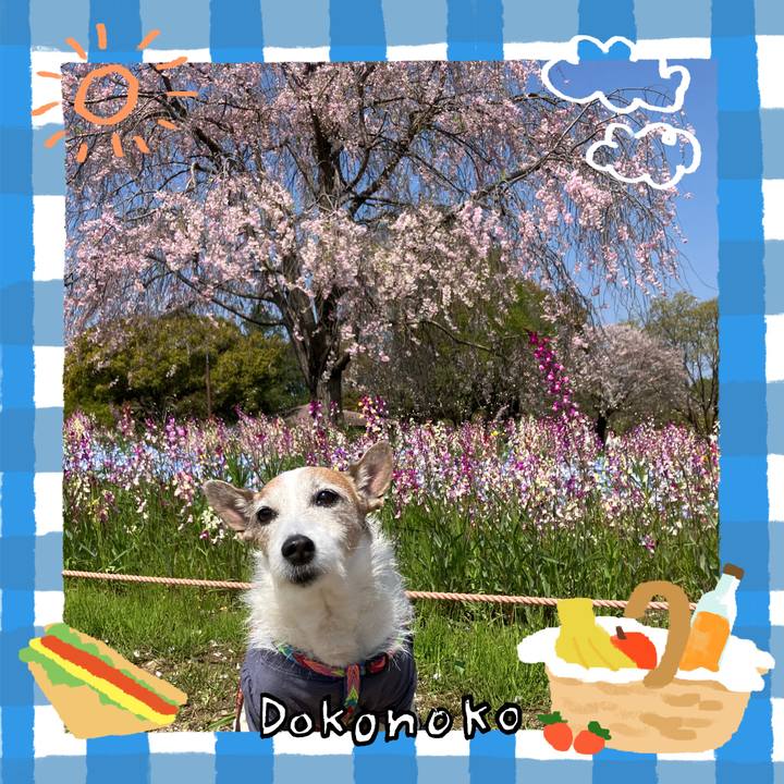 683490a1 62aa 4603 8f6a 0011e5a7f781 1744845612920