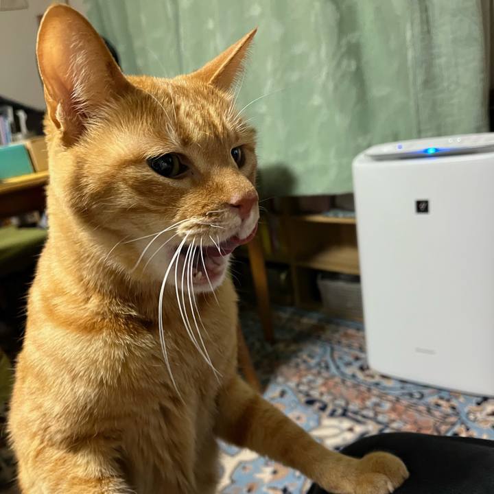 6834ec23 1bea 40de 8555 19998f9c57e7 1770206729817