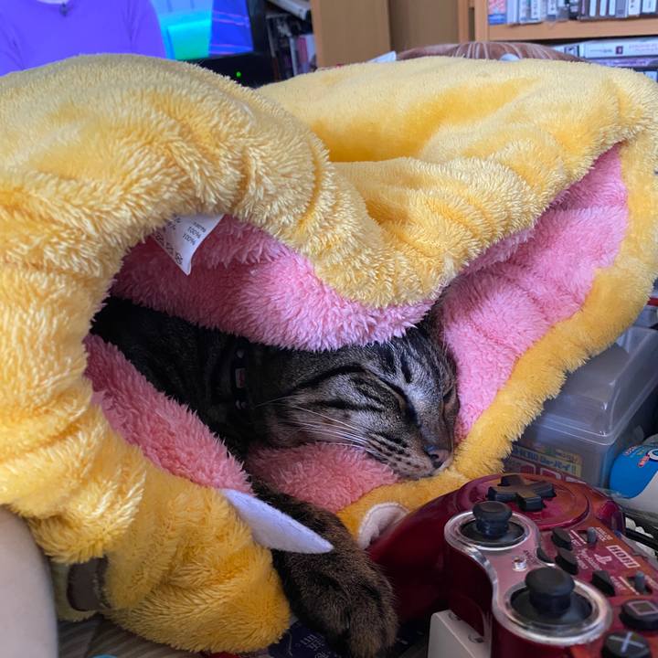 6834f5b8 2d5a 483f 981d 7c6762c69838 1577062623772