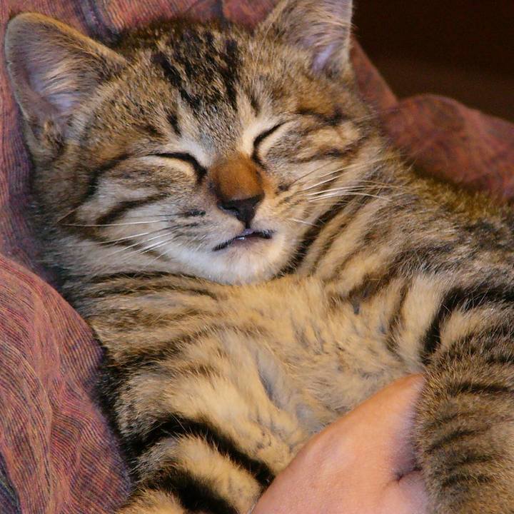 6835096f 5b59 400a adfd fefab2d978e4 1556787228032