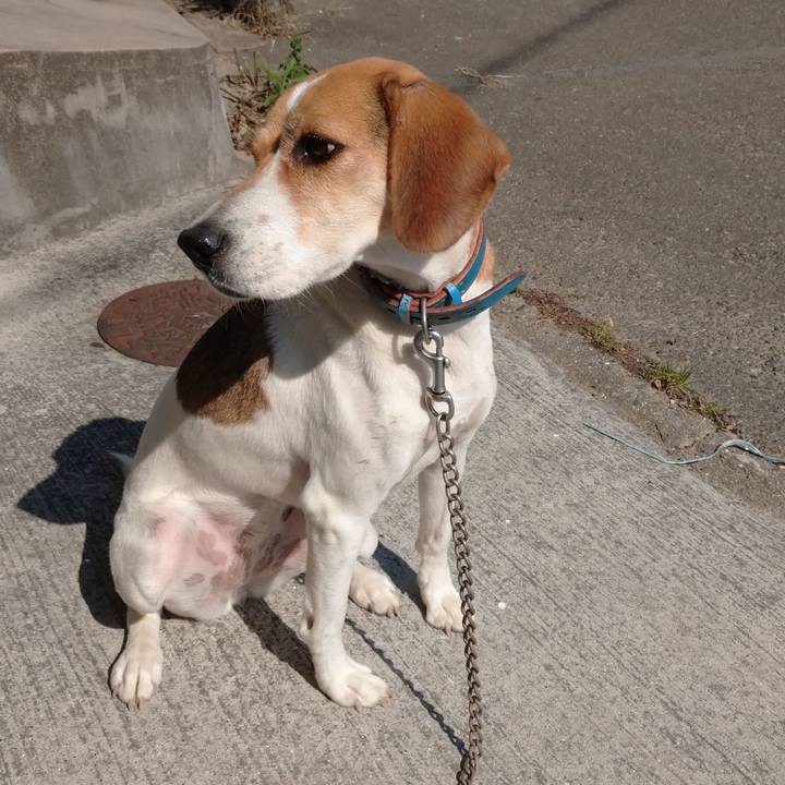 683514c7 f310 4e56 bbb5 77e9146b3c64 1603188140125