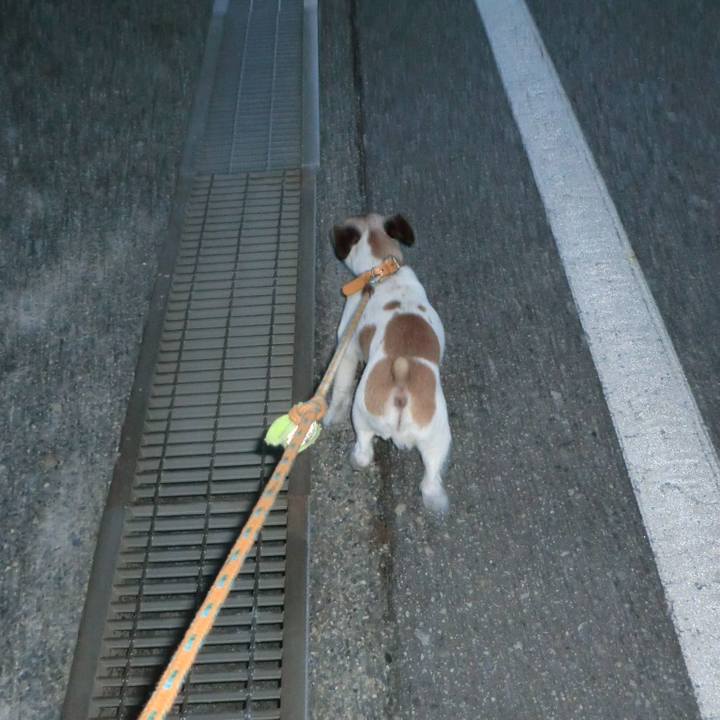 6835af8e 2c51 4e4d bed5 9f18c19f4cd6 1565877584876